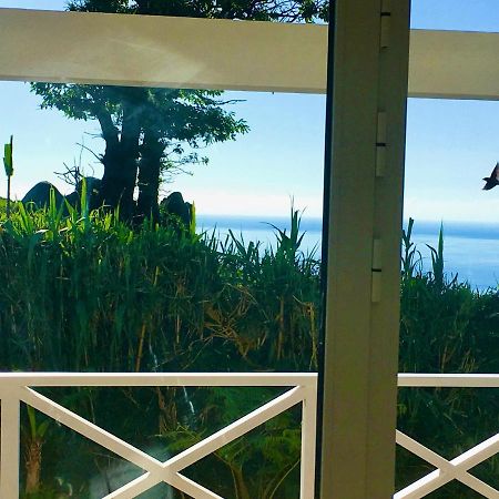 Azores Casa Atlantis Nordeste  Eksteriør bilde